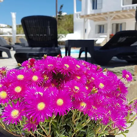 Gasthuis Varnali Small Boutique Mykonos Town