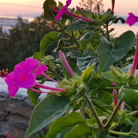 Varnali Small Boutique Gasthuis Mykonos Town