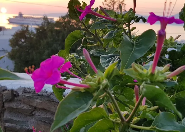 Varnali Small Boutique Affittacamere Mykonos Town